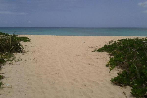 Beach Nest Apt. 2 บริดจ์ทาวน์ ภายนอก รูปภาพ